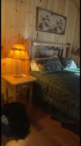 Grand Bear Resort Utica Il Family Cabin | TikTok