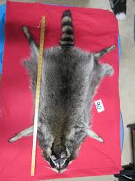 Whole Hide Silver Leathercraft Hair-Ons Pelts for sale | eBay