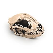 Raccoon Skull Pendant by Fire & Bone