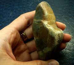 741CTS GASTROLITHS DINOSAURS GIZZARD STONE MS ...