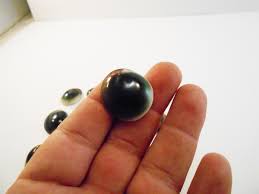 Green Cat Eye Shiva Shells