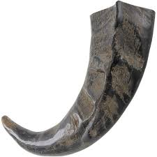 Armory Replicas Handmade Nili-Ravi Artisan Natural Drinking Horn - Unique Home Accent Versatile Use Drinking Horn, Sculpture, Decor Piece Enhances Home Decor with Authenticity - Walmart.com