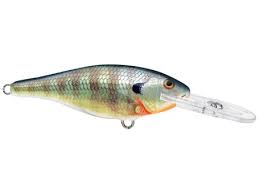 Rapala Shad Rap 8 Crankbaits - Tackle Warehouse