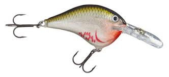 Rapala DT (Dives-To) Series Crankbait – Bonafide Fishing