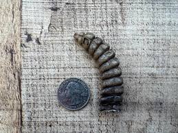 RattlesnakeDiamonds - Etsy