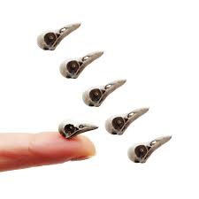 Raven Skull Replica 1:6 Scale Crow Miniature Animal Skulls ...