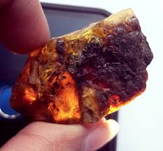 Loose Gemstone 100% Natural Amber Rough 56+ Ct With Free ...