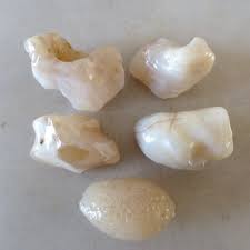 5pcsChina Natural stone Bonsai Suiseki alashan desert stone ...