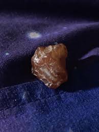 GF found this beaut on the ground, any clue as to what it is ...