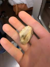 Found on a beach in NS, ON. What is it? : r/whatsthisrock