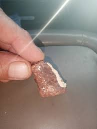 Found this in southern Colorado Westside of the sangre de ...