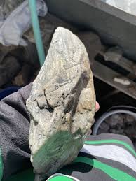 Huge, Unique, Polished, Blue , Agatized/opalized petrified ...