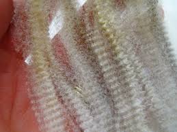 I couldn't put it off any longer: a date with Maggie Casey ...