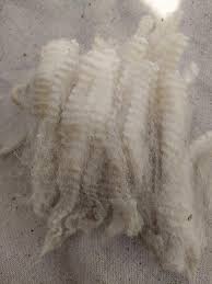 Should I use combs or drum carder for BFL wool?