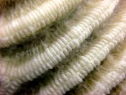 fishx6 image of the Bonaire corals etc to be identified ...