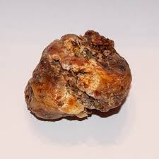 Madagascar Elemi resin Canarium Madagascariensis