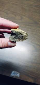 Chunk Of Fossil Triceratops Frill - From Wyoming Dig Site | eBay