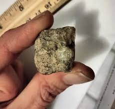 10.4g grams Natural Golden Scapolite Rough Crystal Mineral ...