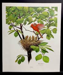 Ray Harm Limited Edition Hand Signed Print "Cardinal” w/Young | eBay