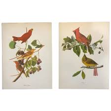 Original 1960's 'Audubon' Red Bird Prints. For Sale at Ruby Lane