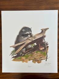 Ray Harm Limited Ed. Hand Signed Silkscreen Print "Raccoon", 1976 | eBay