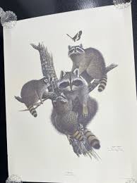 Ray Harm Limited Edition Hand Signed Framed Print "Raccoon” Family With Moth (F) | eBay