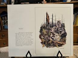 Vintage Raccoons Print Illustrated by James Lockhart, Wild America Book | eBay