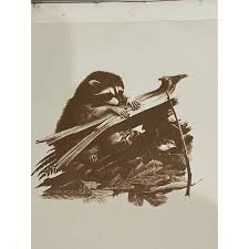 1976 Ray Harm “Racoon” First Day of Issue - 1 of 500 Original Print With Seal | Chairish