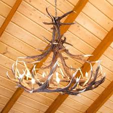 12 Antler Elk Chandelier | Cabin Place – The Cabin Place
