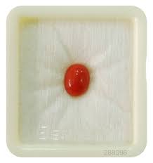 Vaibhav Gems Buy Japanese Red Coral Stone Original Oval Cut