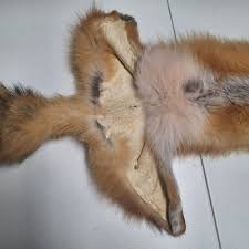 Red Fox Fur Pelt Tanned Taxidermy Hide 49 Inch Michigan Tail ...