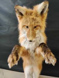 Sold at Auction: Pouncing Red Fox & Squirrel Mount