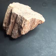 Petrified Wood Hurricane Utah Fossil Grade A+ Specimen Grain ...