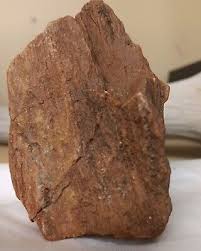 Utah Petrified Wood Grain Fossil Unique 1/2 Lb Display ...