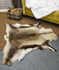 Luxury Reindeer Hide Rug | Striking Caribou Skin Rug ...