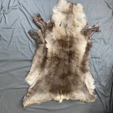 Reindeer hide — Claw, Antler & Hide Co.
