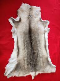 Caribou - Reindeer Hide - CAR1002 – THE IDAHO FUR SHACK