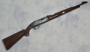 Remington ~ Mohawk 10C ~ .22 Long Rifle | Bass Pro Shops