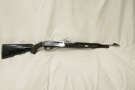 Remington Nylon 66 22 LR 18" Chrome With Black Furniture ...