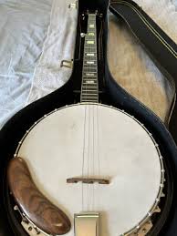 Global Brand Banjo | eBay