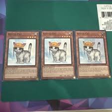 Rescue Cat Yugioh | eBay