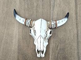 TEXAS Longhorn,birthday Cake Topper,mini Cow Skull,wall ...