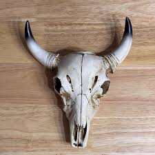 Western Longhorn Bull Skull Wall Decor, Faux Bison Skull ...