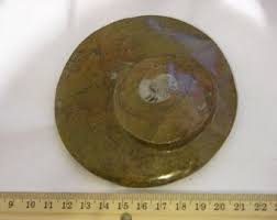 Ammonite Fossil in Matrix Polished One Side 3+ Inch Jw90 - Etsy