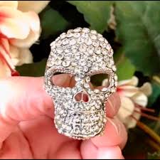 Betsey Johnson Inspired Skull Halloween Pin BJ NWT Crystal ...