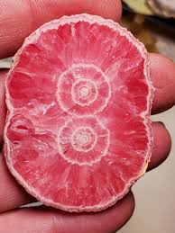Rare🩷 Rhodochrosite Pink Polished Stalactite Slab Argentina ...