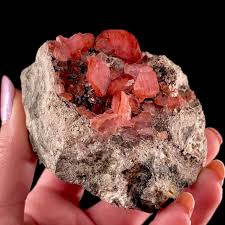 Rhodochrosite (classic material) | Uchucchacua Mine, Oyon ...