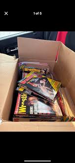 Wrestling 1991 Vintage Sports Memorabilia for sale | eBay