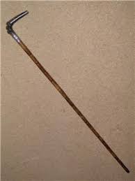 Antique Partridge Walking Stick/Cane W/ Bovine Horn Fritz ...