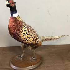 Lot #165 Extra Fancy Sombrero; Black & Gold Sequins | EstateSales.org